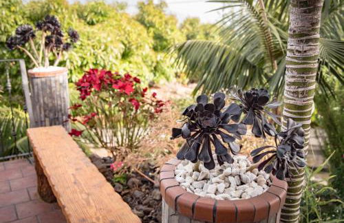 Finca Pozo Taburiente - Foto 27