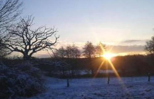 Apartment Reiterstübchen by Interhome - Foto 13