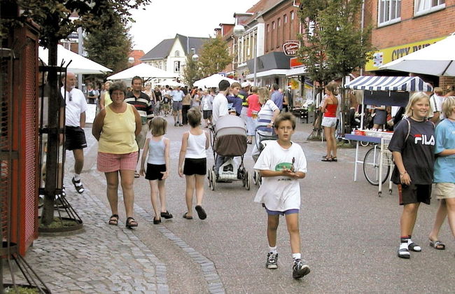 6 Person Holiday Home in Skaerbaek - Foto 29