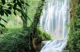 Casa el sabinar - Foto 40