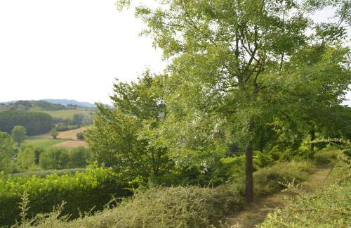 Villa Patrizia - Foto 16