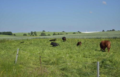 Landhaus am Bauernhof im Ostseeland - Foto 21