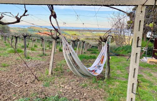 PODERE Sant'Anna B&B -Bambù room - Foto 6