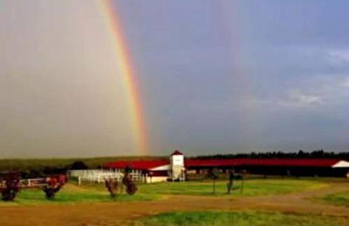 Pet-Friendly Getaway with a Hot Tub near Austin Texas - Foto 16