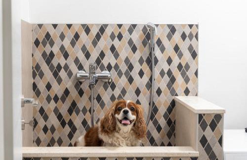 Villa Nella Foresta with private 66sqm heated pool, Whirlpool, Tennis court, Gym, Billiards, 4 en-suite bedrooms - Foto 33