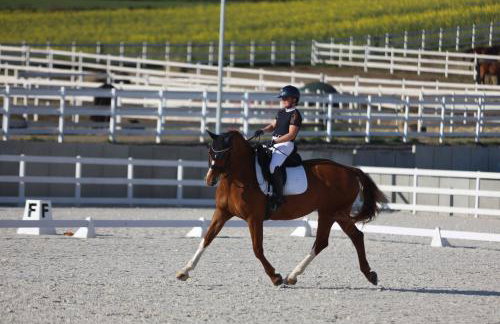 Agroturystyka Ranczo Gościszów - Foto 17