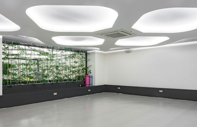 Graf Victor - Foto 50