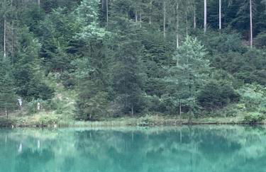 Ferienwohnung Panorama inkl. Chiemgaukarte - Foto 6