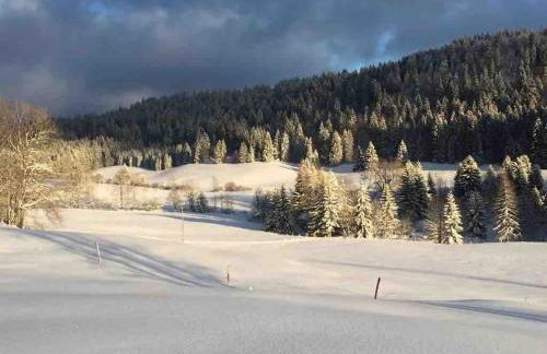 Maison de charme Haut-Jurassienne - Foto 7