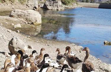Casa Rural La Presa - Foto 34