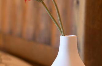 Apartamentos Blanca Senda del Oso - Foto 61