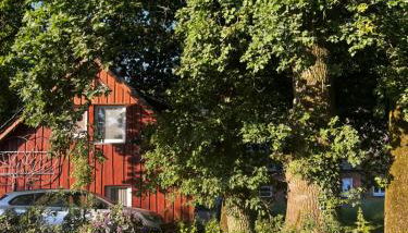 Hof Bahrenwinkel - Foto 5