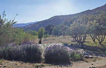 Cortijo AguaChá - Foto 25