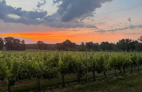 L'Eperonnette, cozy house with swimming pool, surrounded by vineyard, near St Emilion - Foto 45