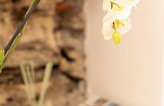 Belvedere 237A Lakeview Luxury Apartment - Foto 42