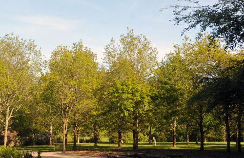 Pinetum Garden Cottages - Foto 130