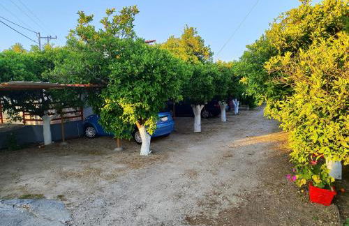 CottonClub Villas - Foto 36