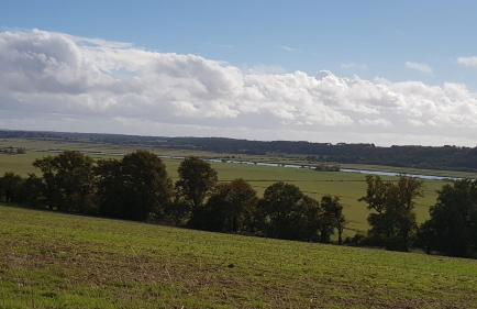 BELLE VISNONIA meublé de caractère Sud Morbihan - Foto 7
