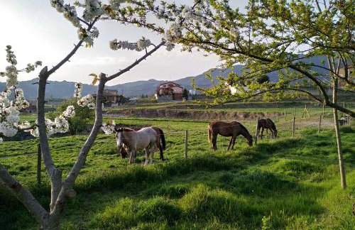 LES ROVILES - Foto 22