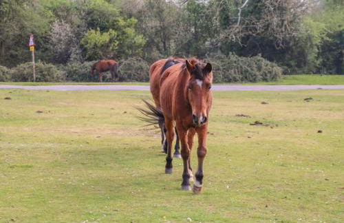 Gwydn Lodge - Photo 32