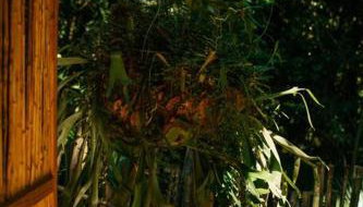 Casa na Vila de Abraão - Foto 5