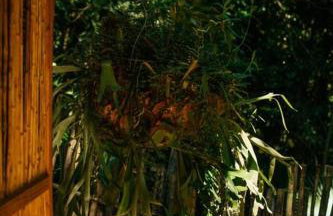 Casa na Vila de Abraão - Foto 5