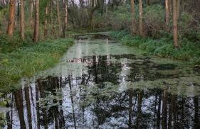 Domek letniskowy Letniczówka - Photo 30