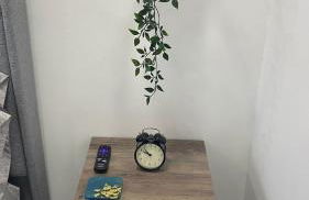 Luna y Sol Calle 8 - Foto 19