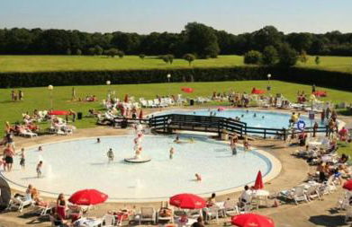 Forest hart - Foto 12