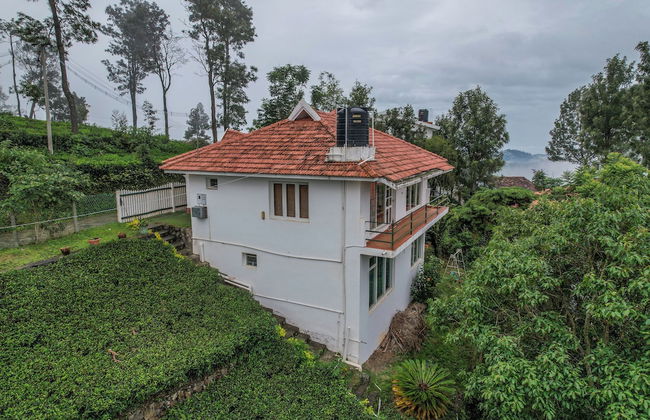 Samrakshitha Suits - Foto 3