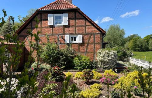 Elbwiesenhaus-an-der-Elbe - Foto 1