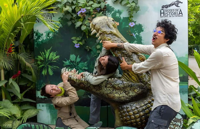 Tour por el Museo de Historia Natural de la Tatacoa + Taller de fósiles - Foto 8