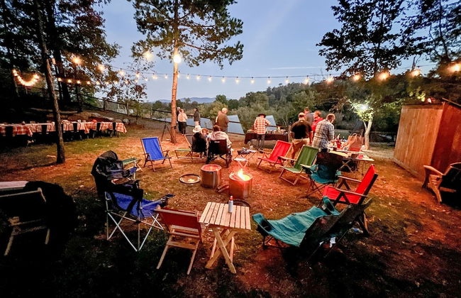 Wrong Way River Lodge & Cabins - Foto 26