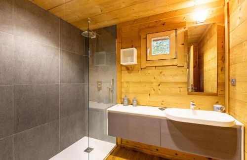 Le Chalet Etoile des Neiges - Ski à pied - Foto 6