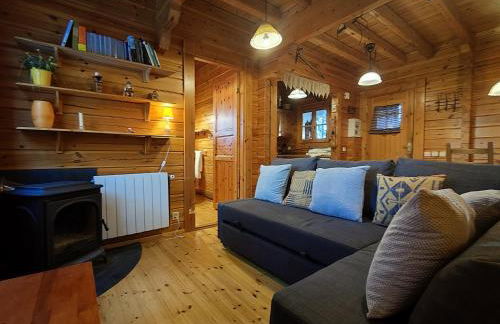 El Pi Solitari - Photo 5