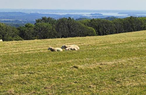 1 Bed in Creech oc-g29728 - Photo 9