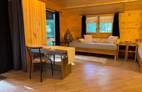 Ackermannia - Foto 59