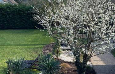 Gite La So Sweet - Foto 18