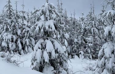 Bergstadthütte Harz - Foto 22