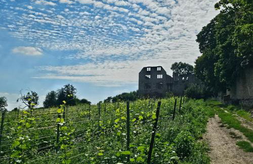 Moderne Doppelhaushälfte in Oppenheim - Foto 22