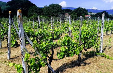 Villino i due Mori - Foto 32