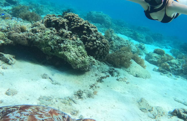 Snorkelling in Gili Meno - Foto 1