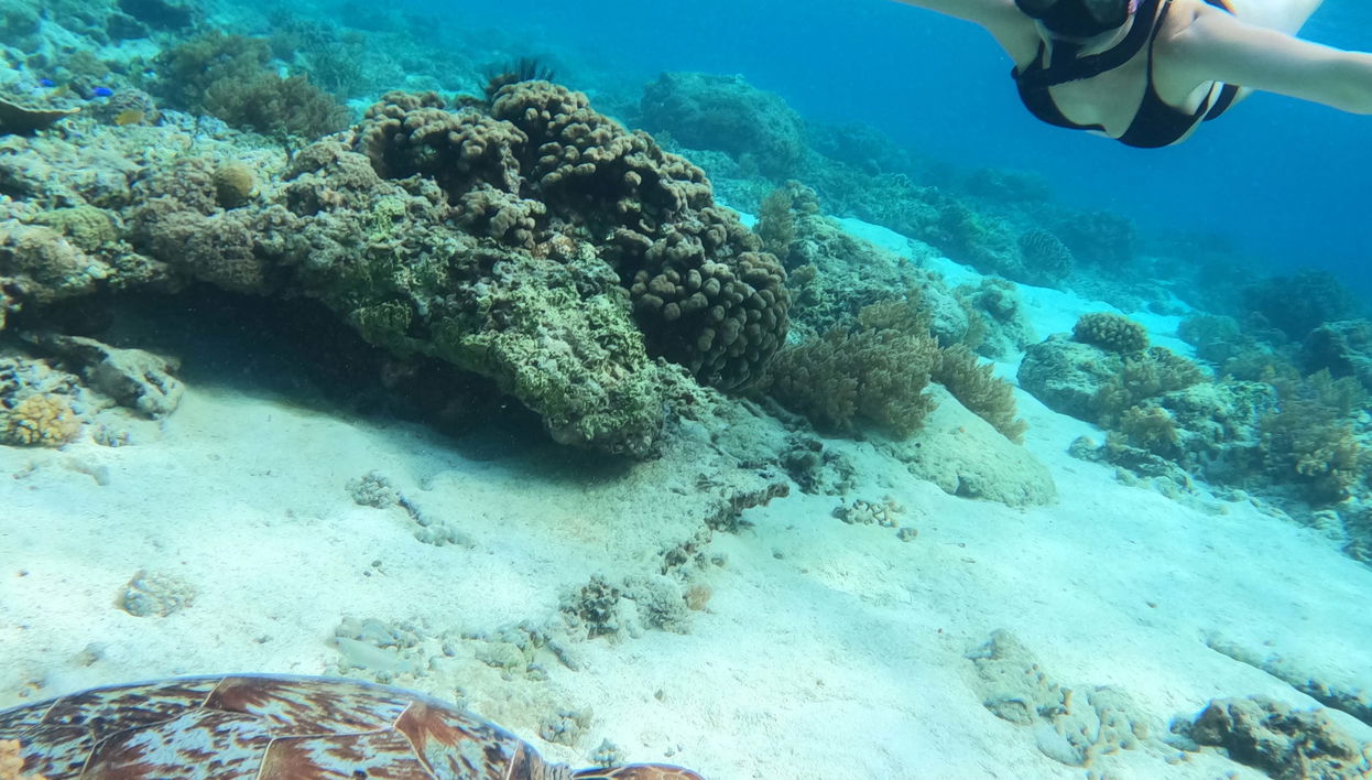 Snorkelling in Gili Meno - Foto 1
