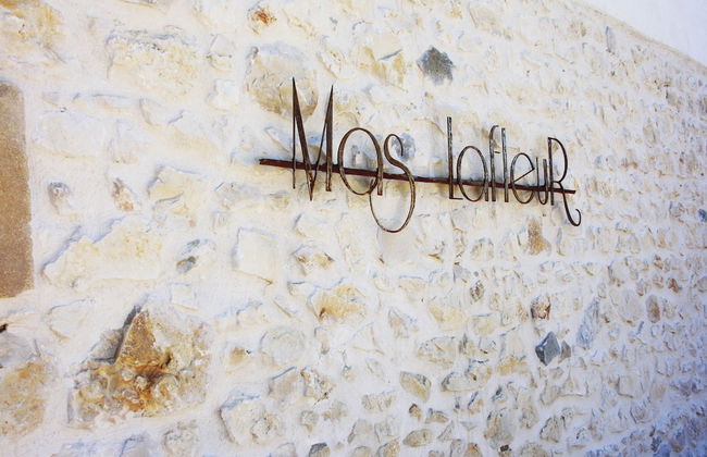 Mas Lafleur Charmant mas provençal - Foto 2