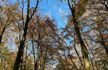 Bright, airy Annex in village with stunning views - Foto 24