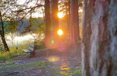 No 19 in the Black Forest - Foto 42