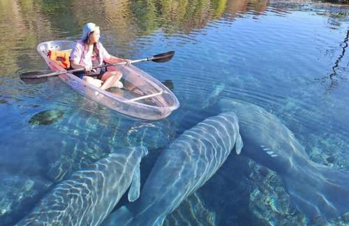 Luxe Home in Lecanto with Pool - Foto 33