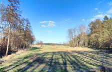 Ferienhaus Im Wäldchen in See Nähe - Photo 42