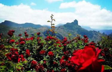 El Rincon del Nublo - Foto 17