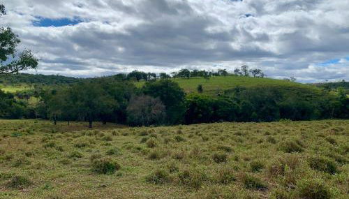 Fazendinha LS - Foto 2